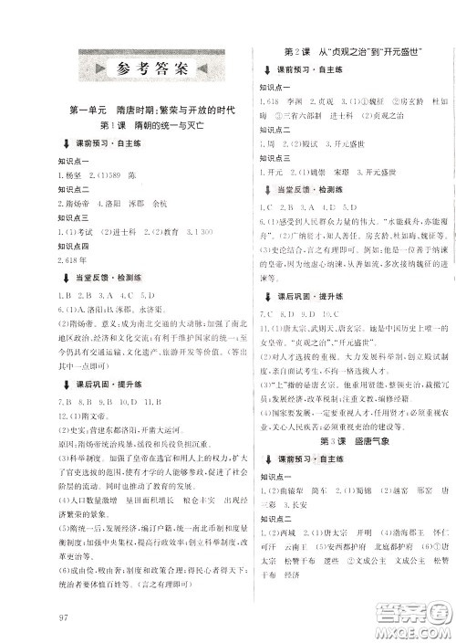 2020年原创讲练测课优新突破历史七年级下RJ人教版参考答案