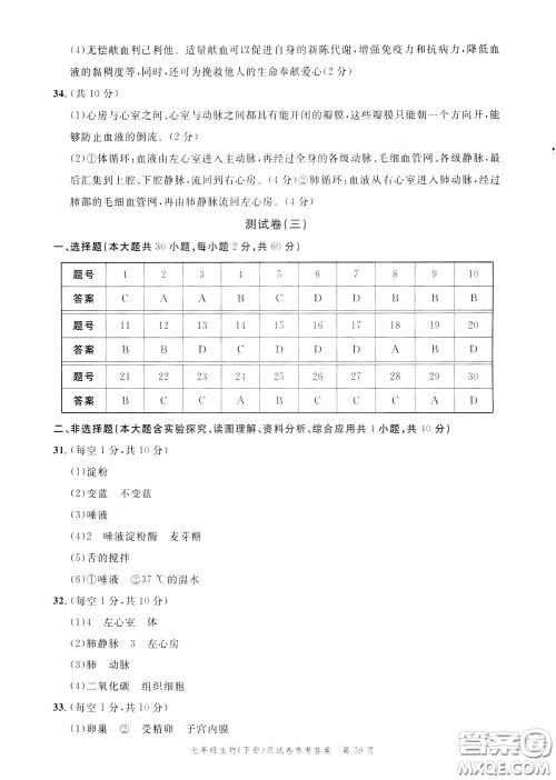 南粤学典2020年名师金典测试卷生物七年级下册R人教版参考答案