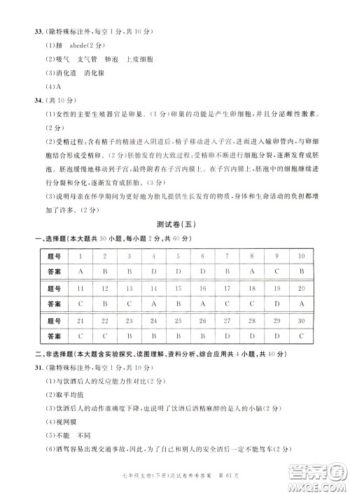 南粤学典2020年名师金典测试卷生物七年级下册R人教版参考答案 南粤学典2020年名师金典测试卷生物七年级下册R人教版参考答案