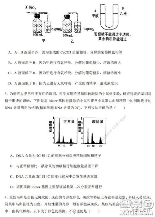 2020年河南省实验中学高三假期自主测试理科综合试题及答案