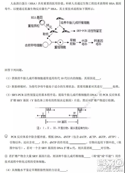 2020年河南省实验中学高三假期自主测试理科综合试题及答案 2020年河南省实验中学高三假期自主测试理科综合试题及答案