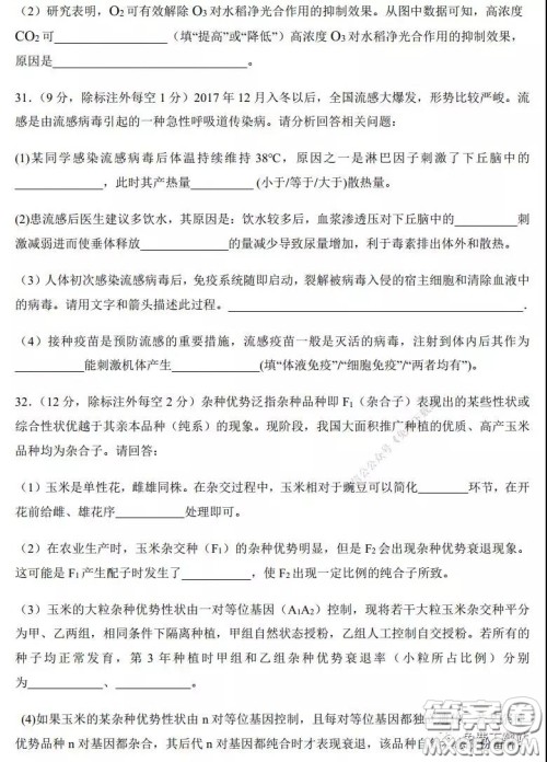 2020年河南省实验中学高三假期自主测试理科综合试题及答案