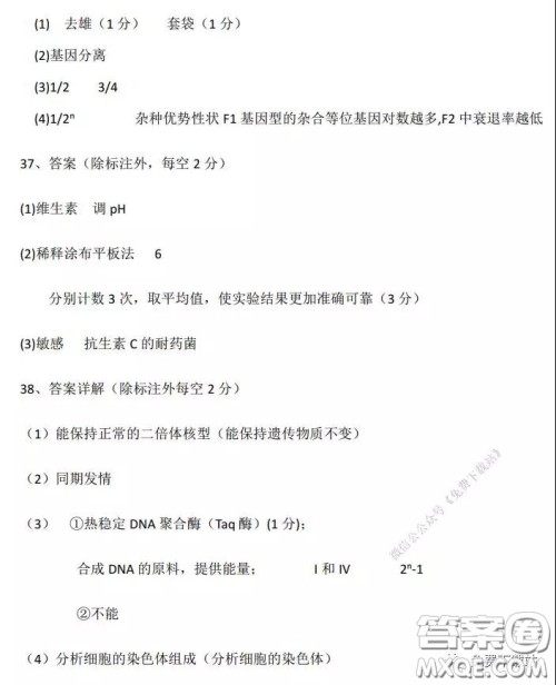 2020年河南省实验中学高三假期自主测试理科综合试题及答案