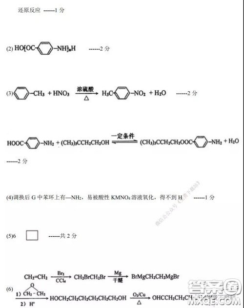 2020年河南省实验中学高三假期自主测试理科综合试题及答案