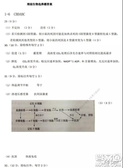 2020年河南省实验中学高三假期自主测试理科综合试题及答案