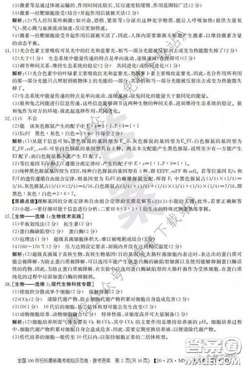 2020年全国100所名校最新高考模拟示范卷二理科综合答案 2020年全国100所名校最新高考模拟示范卷二理科综合答案
