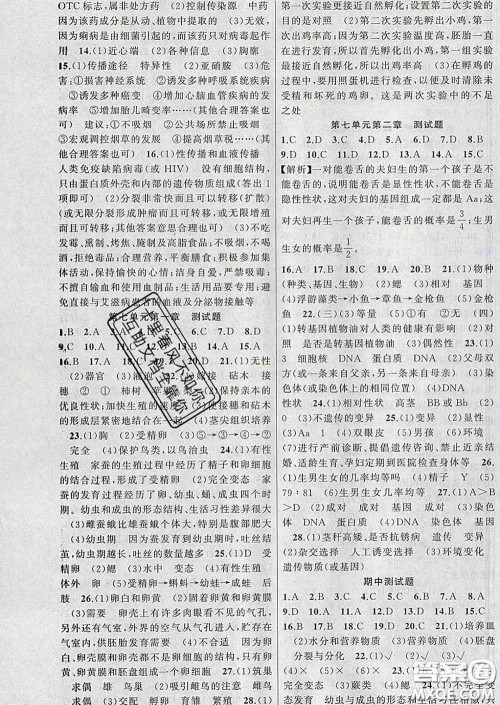 2020年黄冈金牌之路练闯考八年级生物下册人教版答案 2020年黄冈金牌之路练闯考八年级生物下册人教版答案