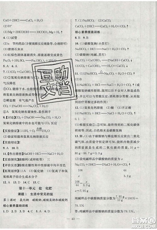 2020年创新课堂创新作业本九年级化学下册人教版答案