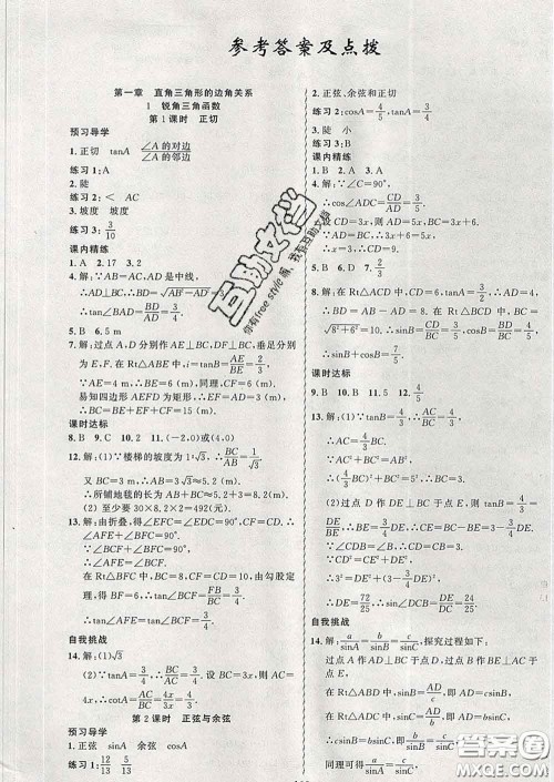 2020年黄冈金牌之路练闯考九年级数学下册北师版答案 2020年黄冈金牌之路练闯考九年级数学下册北师版答案