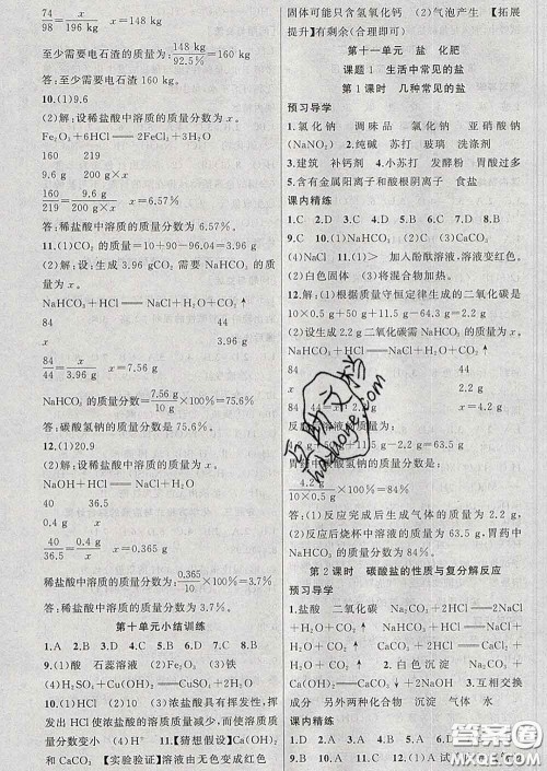 2020年黄冈金牌之路练闯考九年级化学下册人教版答案