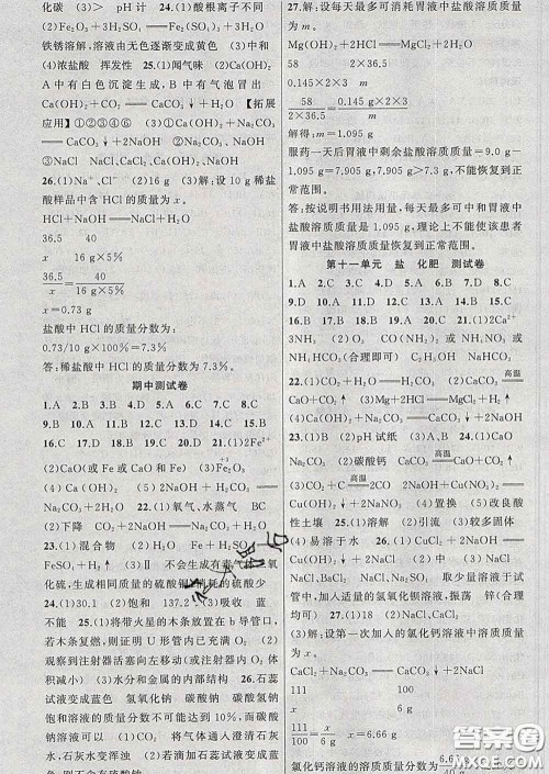 2020年黄冈金牌之路练闯考九年级化学下册人教版答案