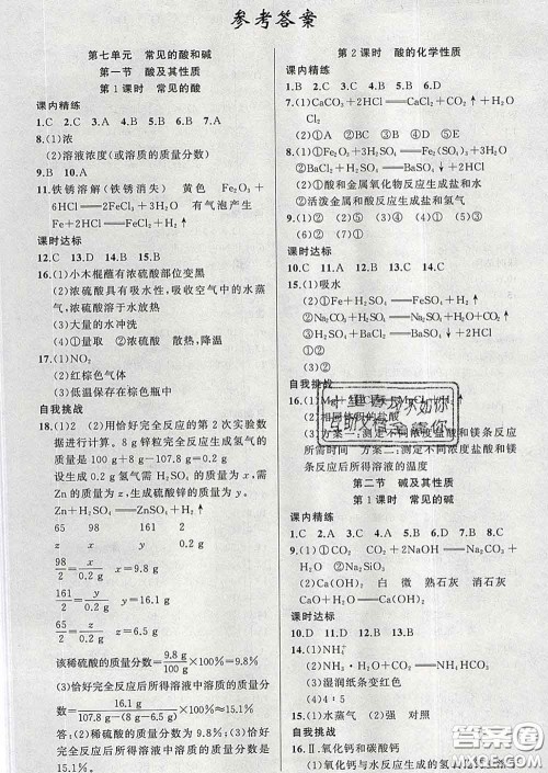 2020年黄冈金牌之路练闯考九年级化学下册鲁教版答案