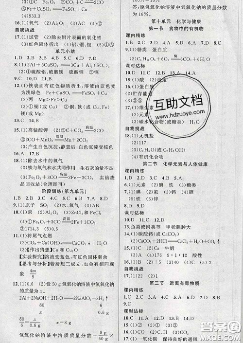 2020年黄冈金牌之路练闯考九年级化学下册鲁教版答案