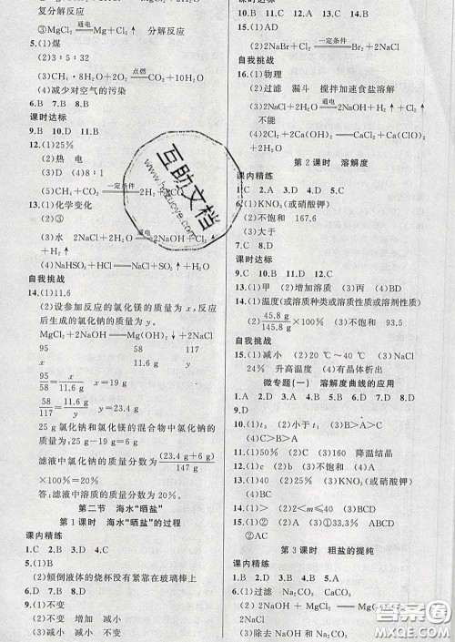 2020年黄冈金牌之路练闯考九年级化学下册鲁教版答案