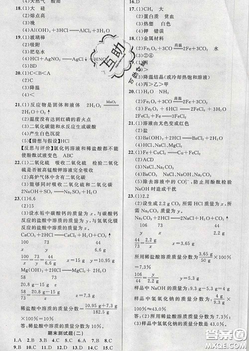 2020年黄冈金牌之路练闯考九年级化学下册鲁教版答案