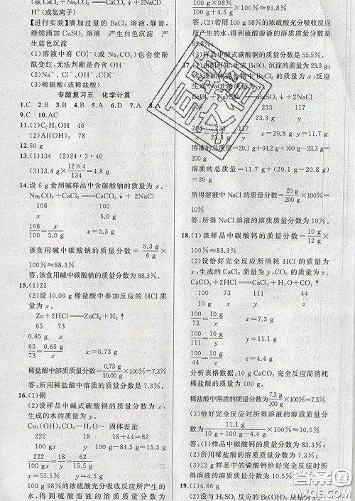 2020年黄冈金牌之路练闯考九年级化学下册鲁教版答案