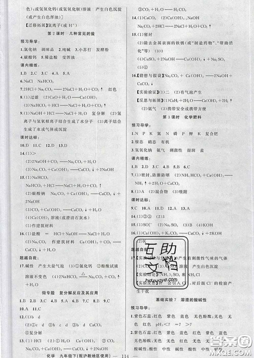 2020年黄冈金牌之路练闯考九年级化学下册沪教版答案