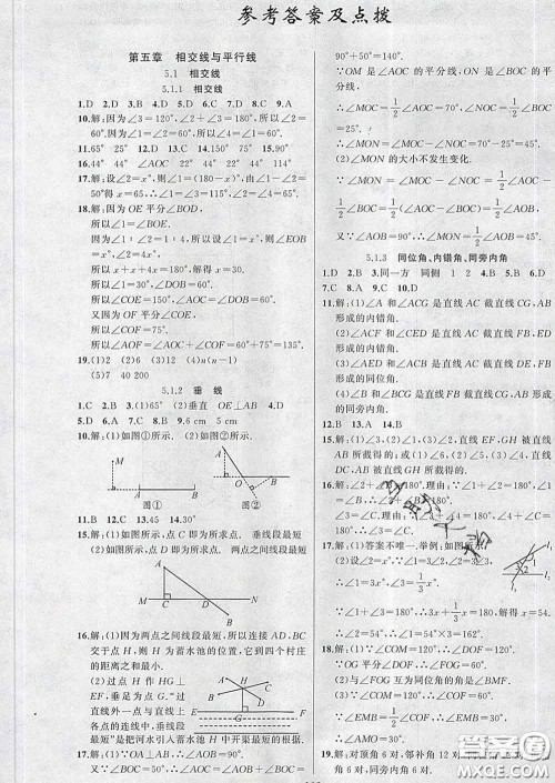 新疆青少年出版社2020春黄冈100分闯关七年级数学下册人教版答案
