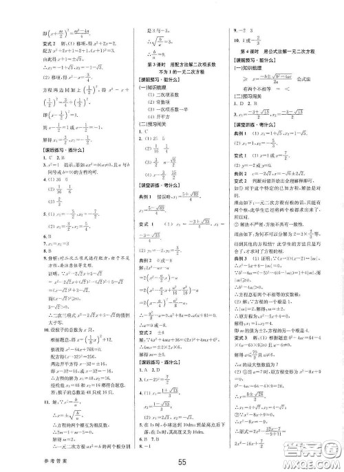 天津科学技术出版社2020初中新学案优化与提高八年级数学下册B版答案