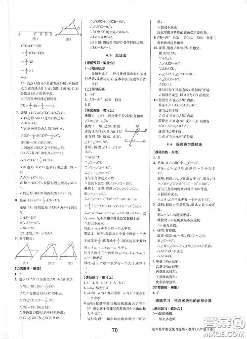 天津科学技术出版社2020初中新学案优化与提高八年级数学下册B版答案