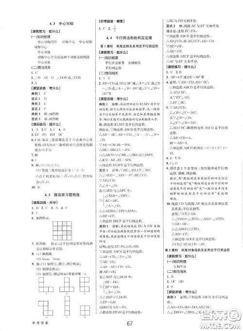 天津科学技术出版社2020初中新学案优化与提高八年级数学下册B版答案