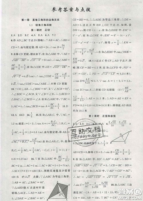 2020春北师版黄冈100分闯关九年级数学下册答案