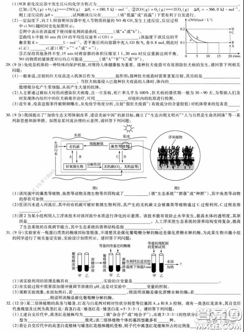 天一大联考2020届高考全真模拟卷四理科综合试题及答案 天一大联考2020届高考全真模拟卷四理科综合试题及答案