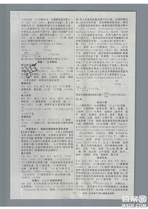 新疆青少年出版社2020春黄冈100分闯关九年级化学下册人教版答案