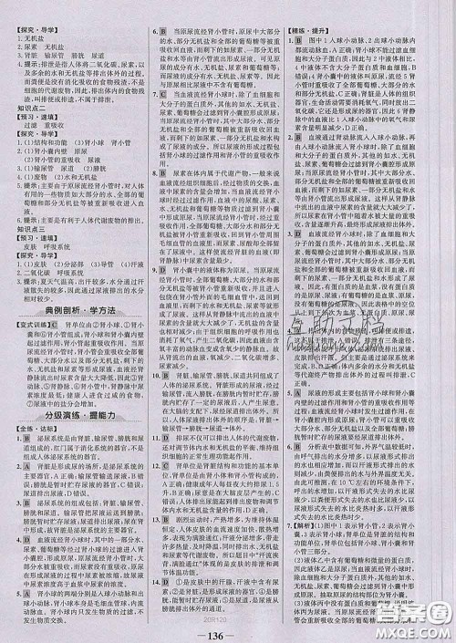 2020新版世纪金榜金榜学案七年级生物下册人教版答案