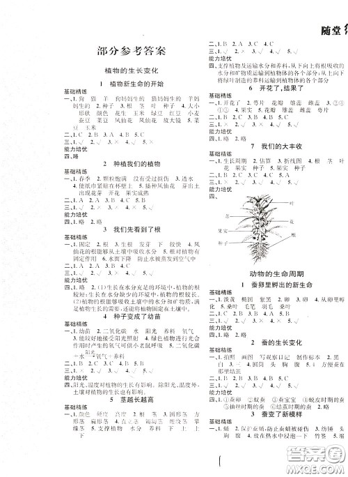 晨光出版社2020年课时掌控随堂练习科学3年级下册J教科版参考答案 晨光出版社2020年课时掌控随堂练习科学3年级下册J教科版参考答案