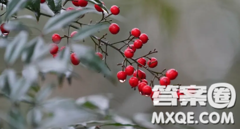 疫情中的英雄作文300字 疫情中的英雄300字作文小学生 疫情中的英雄作文300字 疫情中的英雄300字作文小学生