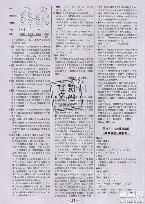 2020新版世纪金榜金榜学案八年级生物下册人教版答案 2020新版世纪金榜金榜学案八年级生物下册人教版答案