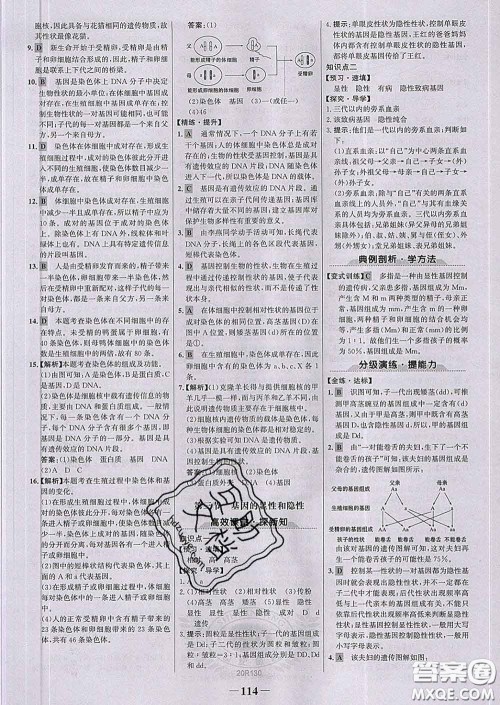 2020新版世纪金榜金榜学案八年级生物下册人教版答案 2020新版世纪金榜金榜学案八年级生物下册人教版答案