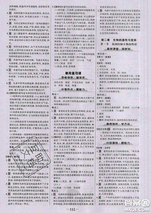 2020新版世纪金榜金榜学案八年级生物下册人教版答案 2020新版世纪金榜金榜学案八年级生物下册人教版答案