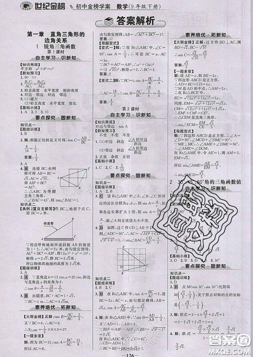 2020新版世纪金榜金榜学案九年级数学下册北师版答案