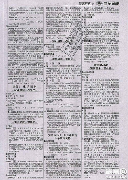 2020新版世纪金榜金榜学案九年级化学下册人教版答案