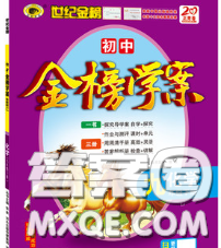 2020新版世纪金榜金榜学案九年级化学下册鲁教版答案