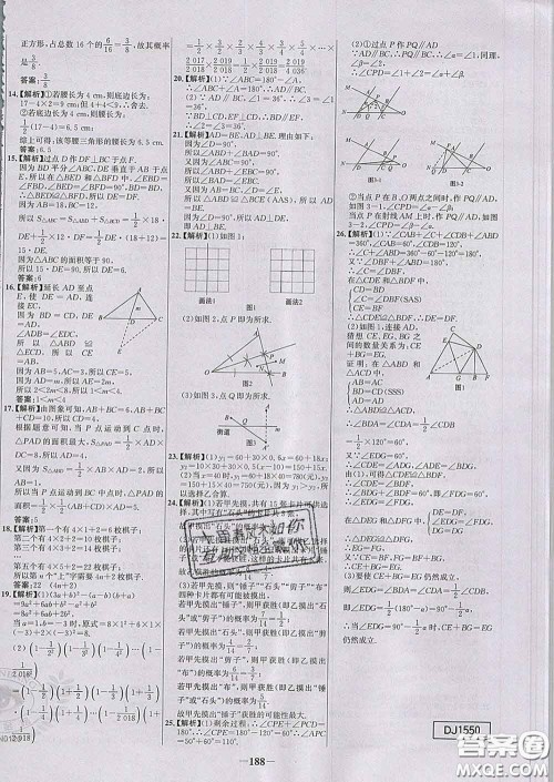 2020春世纪金榜百练百胜七年级数学下册北师版答案