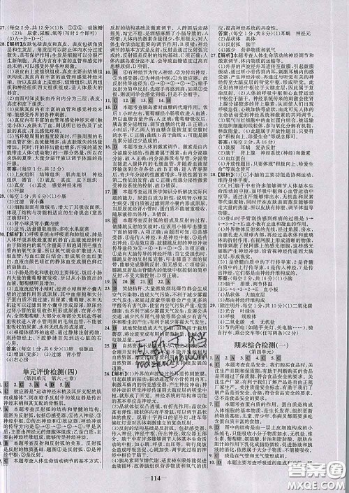 2020春世纪金榜百练百胜七年级生物下册人教版答案 2020春世纪金榜百练百胜七年级生物下册人教版答案