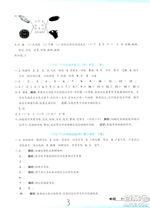 孟建平系列丛书2020年小学单元测试科学六年级下册J教科版参考答案 孟建平系列丛书2020年小学单元测试科学六年级下册J教科版参考答案