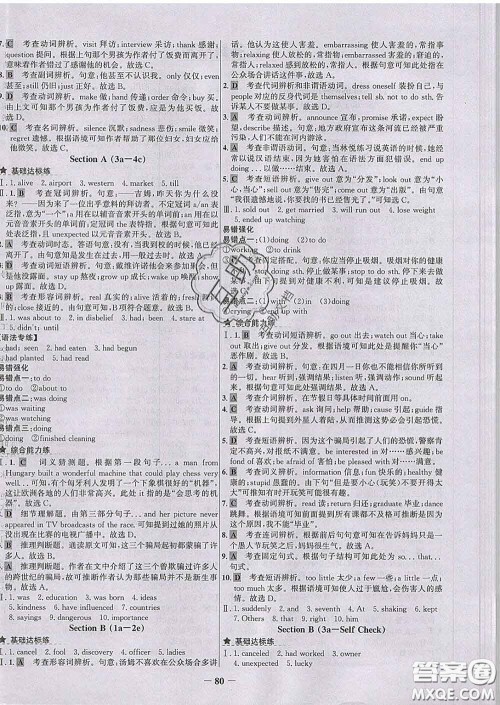 2020春世纪金榜百练百胜九年级英语下册人教版答案