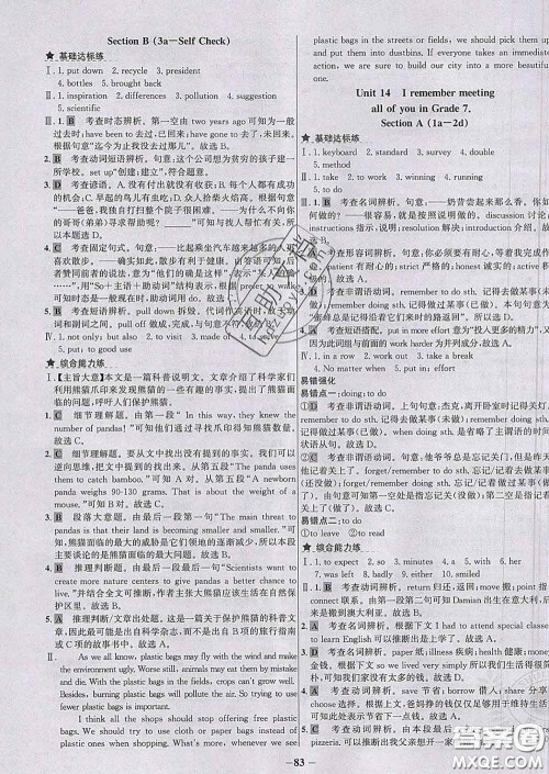 2020春世纪金榜百练百胜九年级英语下册人教版答案