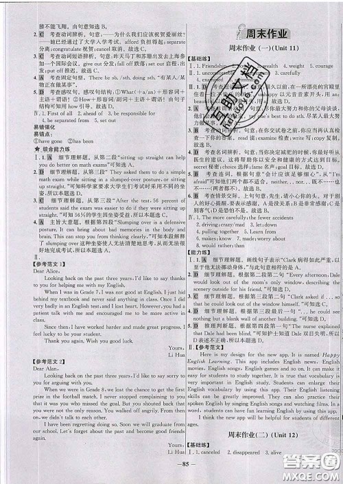 2020春世纪金榜百练百胜九年级英语下册人教版答案