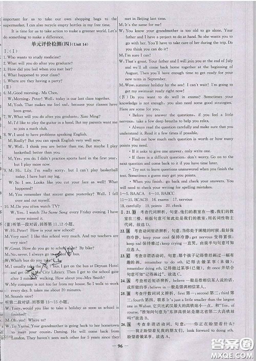 2020春世纪金榜百练百胜九年级英语下册人教版答案