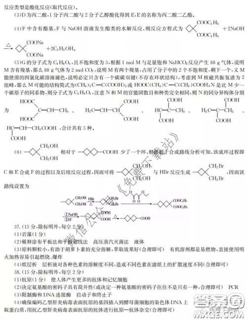 江淮名校2020年普通高等学校招生全国统一考试最新模拟卷二理科综合试题及答案 江淮名校2020年普通高等学校招生全国统一考试最新模拟卷二理科综合试题及答案