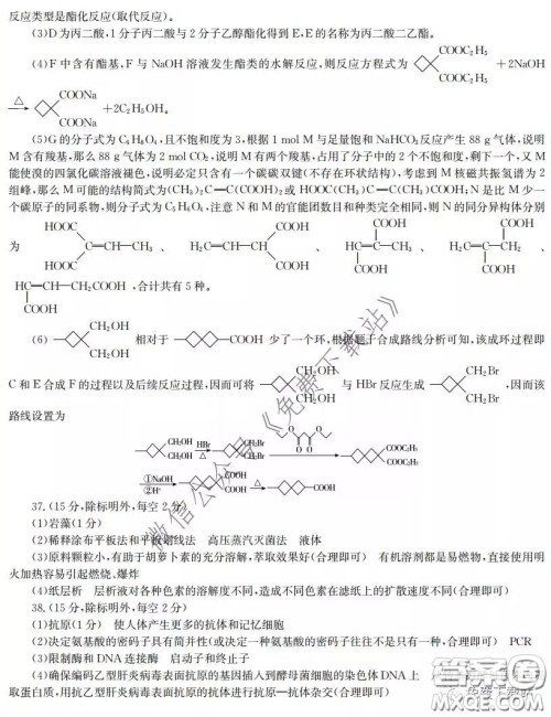 江淮名校2020年普通高等学校招生全国统一考试最新模拟卷二理科综合试题及答案