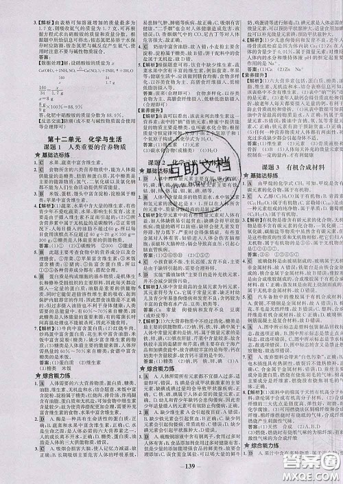2020春世纪金榜百练百胜九年级化学下册人教版答案