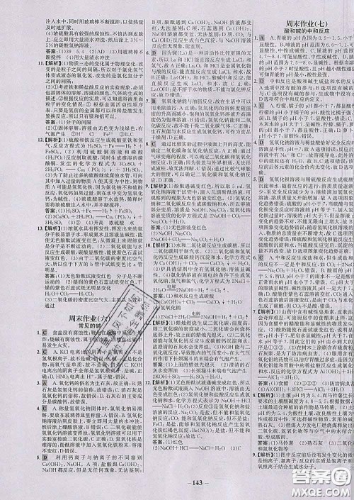 2020春世纪金榜百练百胜九年级化学下册人教版答案