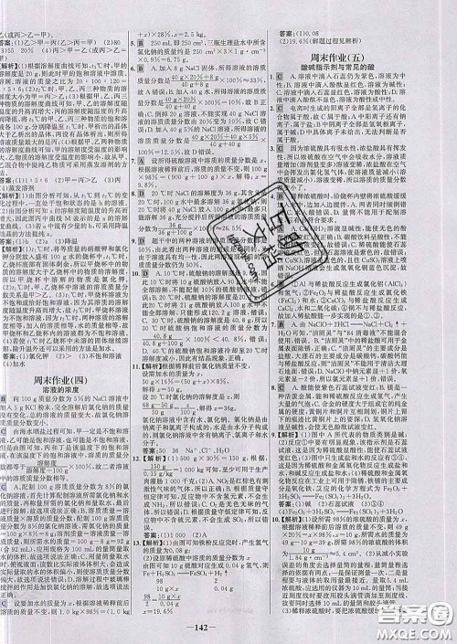 2020春世纪金榜百练百胜九年级化学下册人教版答案