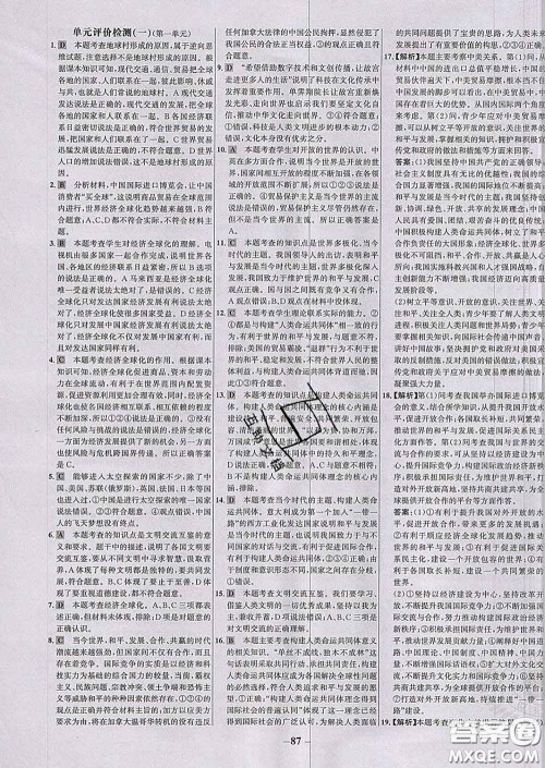 2020春世纪金榜百练百胜九年级道德与法治下册人教版答案